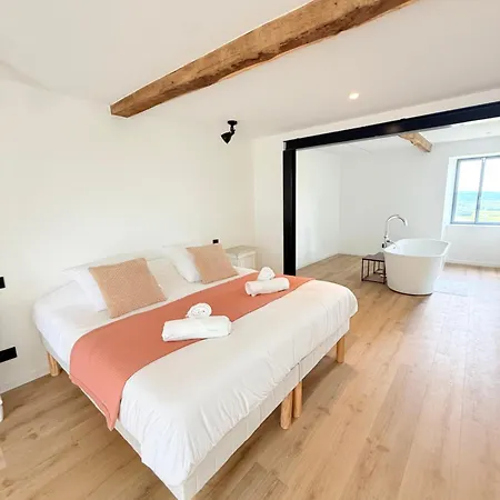Entree Independante - Spacieuse - Bain Ilot - Jardin Prive & Vue Pyrenees 3*