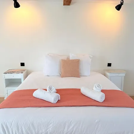 Entree Independante - Spacieuse - Bain Ilot - Jardin Prive & Vue Pyrenees 3* Figarol