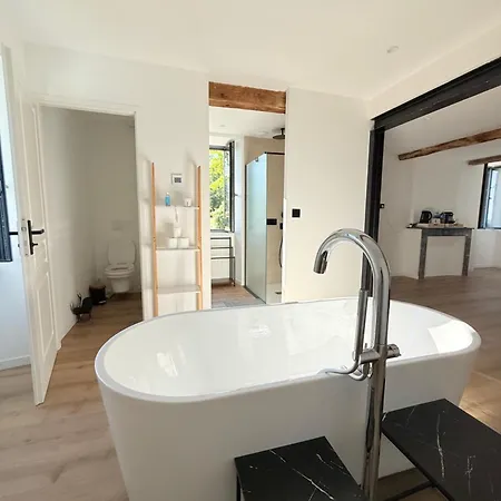 Entree Independante - Spacieuse - Bain Ilot - Jardin Prive & Vue Pyrenees 3* Figarol